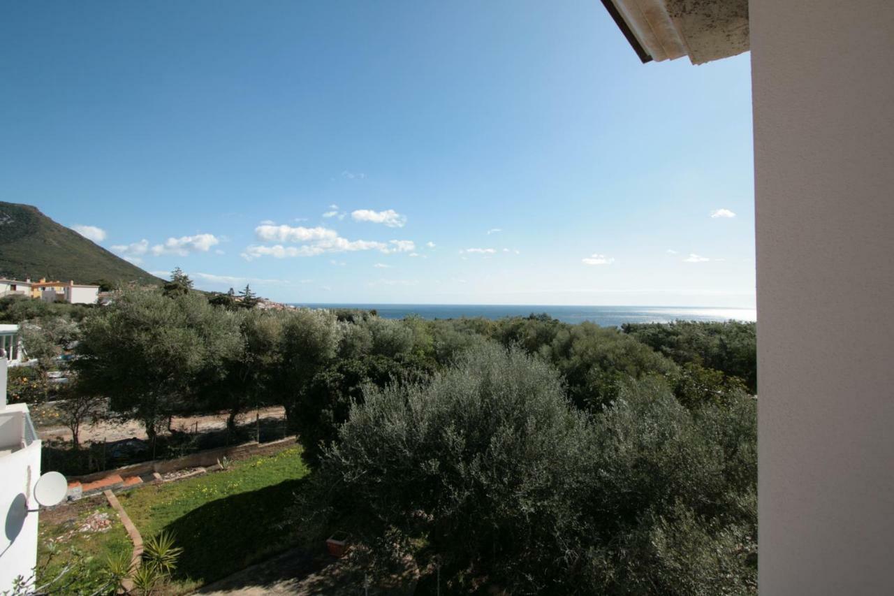 - Marina Apartment *